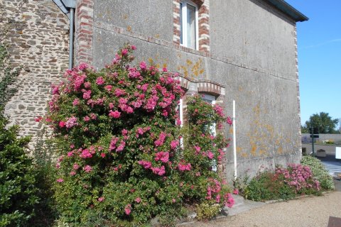 3 bedrooms House in Saint-Cyr-en-Pail, France No. 69385 9