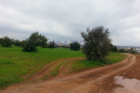 5352m² Land en Ypsonas, Cyprus No. 75301 2