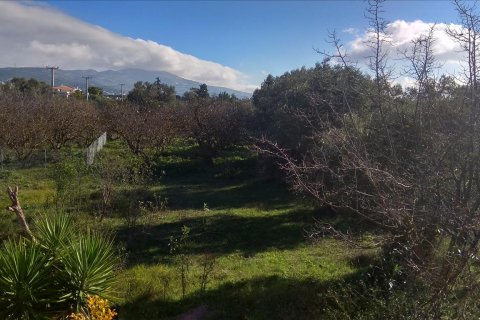 530m² Land in Kifisia, Greece No. 56836 1