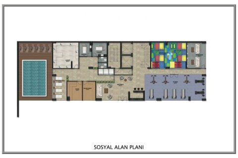 2+1 Appartement à Demirtas, Turkey No. 14506 2