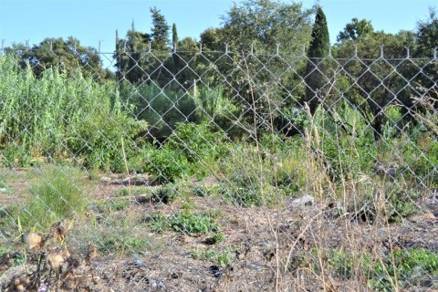 3000m² Land in Corfu, Greece No. 56483 4