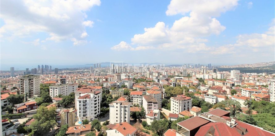 3+1 Apartment en Istanbul, Turkey No. 11477