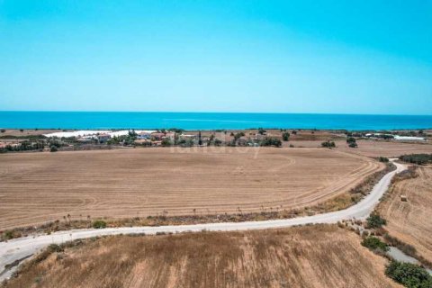 6509m² Land à Maroni, Cyprus No. 36026 7