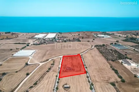 14591m² Land en Maroni, Cyprus No. 36026 7