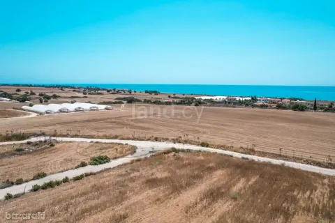 14591m² Land à Maroni, Cyprus No. 36026 9