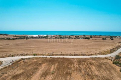 6509m² Land à Maroni, Cyprus No. 36026 10