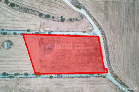 14591m² Land in Maroni, Cyprus No. 36026 5