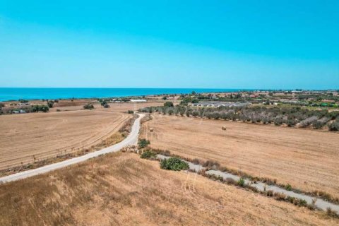 6509m² Land à Maroni, Cyprus No. 36026 9