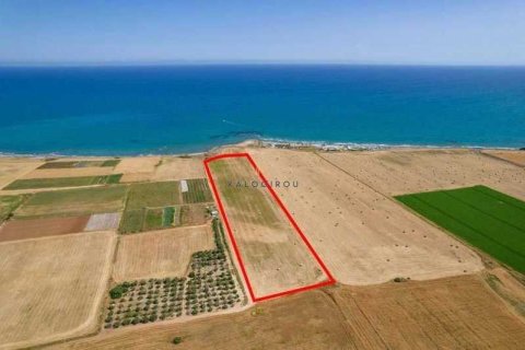 27960m² Land à Kiti, Cyprus No. 36027 3