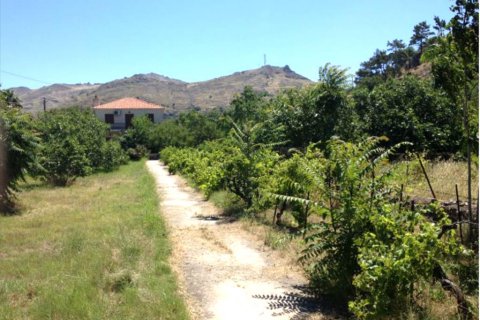 4 chambres House à Lesbos, Greece No. 58922 4