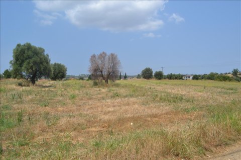 15500m² Land in Chalkidiki, Greece No. 59094 2