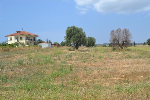 15500m² Land in Chalkidiki, Greece No. 59094 4