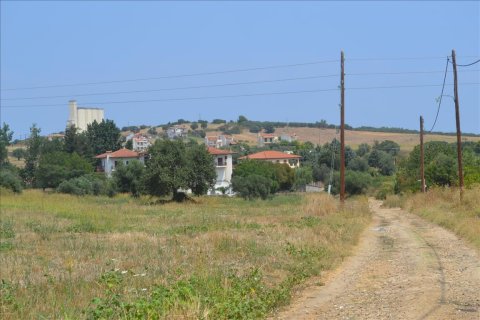 15500m² Land in Chalkidiki, Greece No. 59094 5