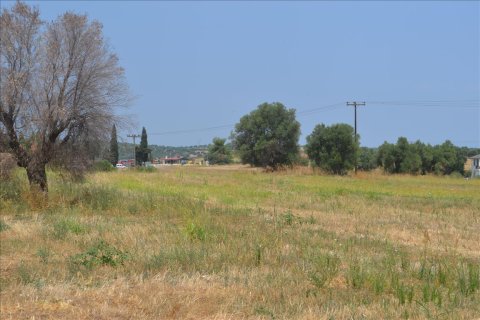 15500m² Land in Chalkidiki, Greece No. 59094 3