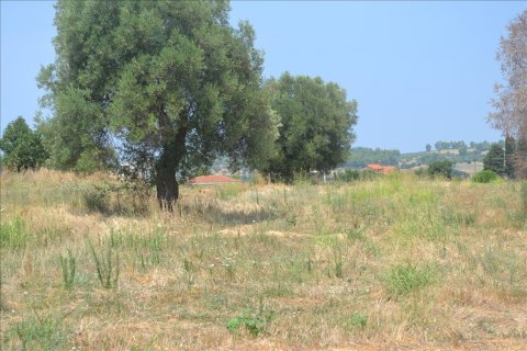 15500m² Land à Chalkidiki, Greece No. 59094 1