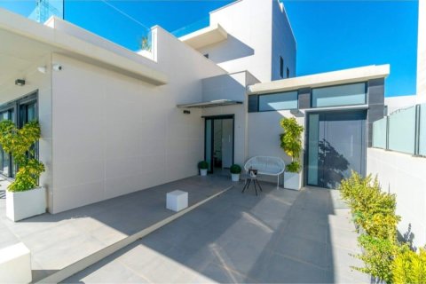 3 bedrooms Villa in Campoamor, Spain No. 27701 29