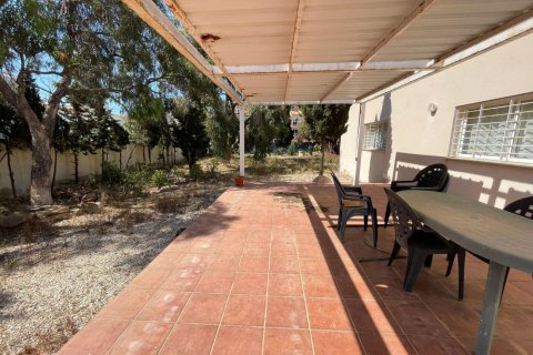 1500m² Land en Torrevieja, Spain No. 27662 2