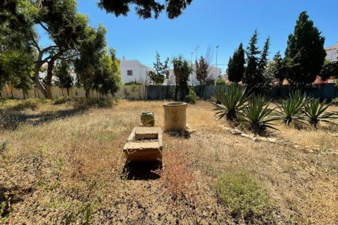 1500m² Land en Torrevieja, Spain No. 27662 13