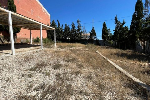 1500m² Land in Torrevieja, Spain No. 27662 12