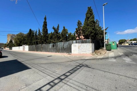 1500m² Land in Torrevieja, Spain No. 27662 5