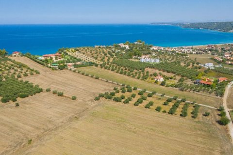 9900m² Land à Chalkidiki, Greece No. 56090 4