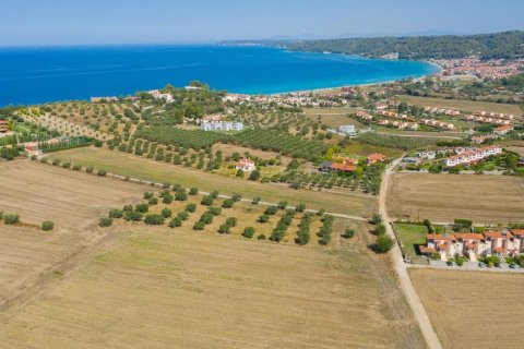 9900m² Land in Chalkidiki, Greece No. 56090 3