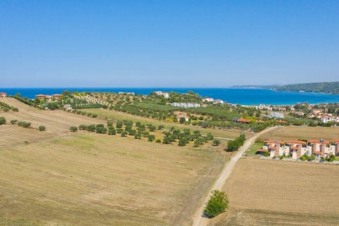 9900m² Land in Chalkidiki, Greece No. 56090 9