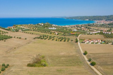 9900m² Land à Chalkidiki, Greece No. 56090 1