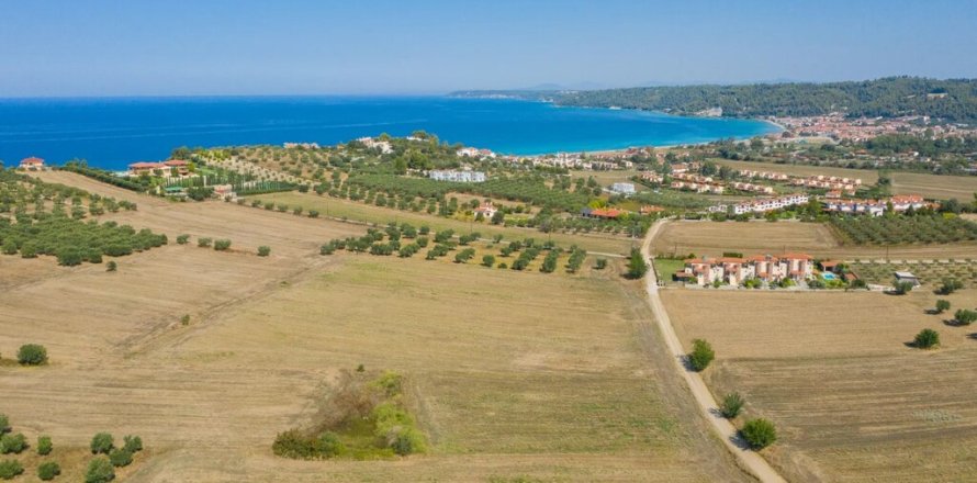 9900m² Land in Chalkidiki, Greece No. 56090