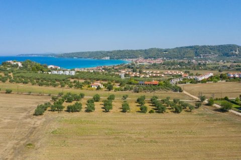 9900m² Land à Chalkidiki, Greece No. 56090 5