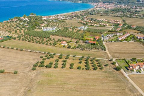 9900m² Land in Chalkidiki, Greece No. 56090 10