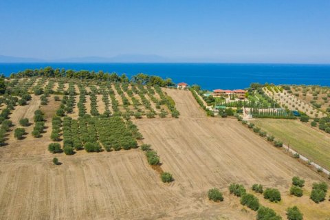 9900m² Land à Chalkidiki, Greece No. 56090 7