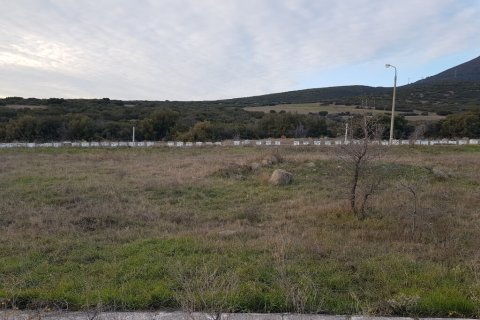 1612m² Land en Thermi, Greece No. 56104 6