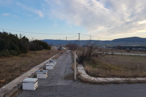 1612m² Land in Thermi, Greece No. 56104 8