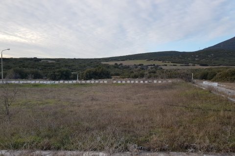 1612m² Land in Thermi, Greece No. 56104 3