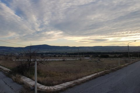 1612m² Land à Thermi, Greece No. 56104 9