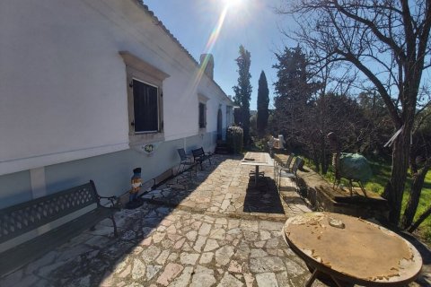 962m² House à Corfu, Greece No. 56092 4