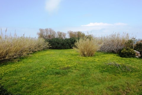 4910m² Land in Rethymno, Greece No. 59843 3