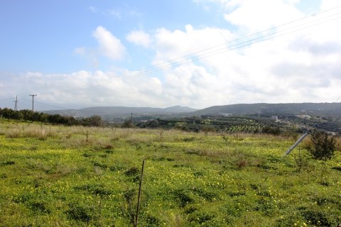 5400m² Land in Rethymno, Greece No. 59844 3