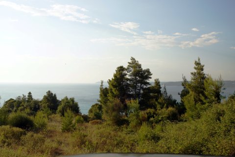 7700m² Land en Chalkidiki, Greece No. 60043 1