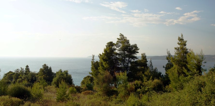 7700m² Land à Chalkidiki, Greece No. 60043