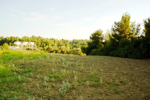 7700m² Land in Chalkidiki, Greece No. 60043 8