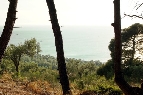 7700m² Land à Chalkidiki, Greece No. 60043 4