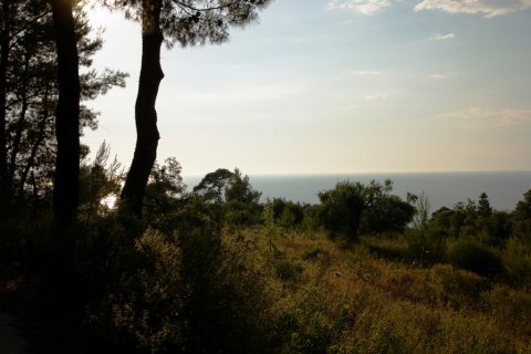 7700m² Land in Chalkidiki, Greece No. 60043 5