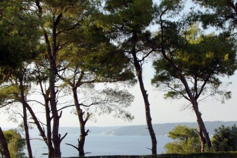 7700m² Land in Chalkidiki, Greece No. 60043 3