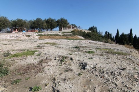 4050m² Land in Corfu, Greece No. 58332 2