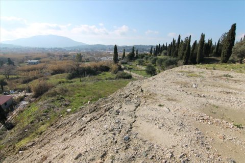 4050m² Land à Corfu, Greece No. 58332 6