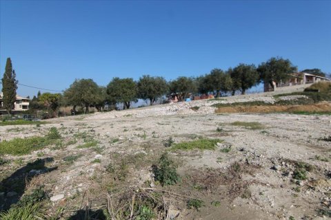 4050m² Land en Corfu, Greece No. 58332 3