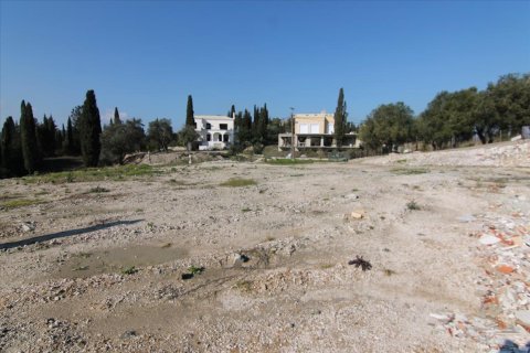 4050m² Land en Corfu, Greece No. 58332 5