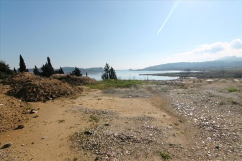 4050m² Land en Corfu, Greece No. 58332 10